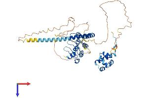 AlphaFold protein structure predicition of Human Recombinant USH1G Protein, UniprotID Q495M9