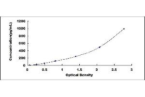 Typical standard curve (VEGF121 Kit ELISA)