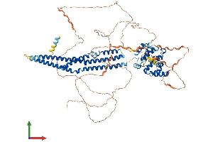 AlphaFold protein structure predicition of Mouse Recombinant Arhgap17 Protein, UniprotID Q3UIA2
