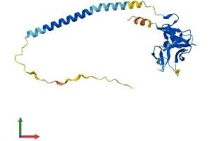 AlphaFold protein structure predicition of Mouse Recombinant Klrb1a Protein, UniprotID P27811
