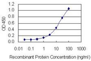 Detection limit for recombinant GST tagged GIPC2 is 0. (GIPC2 anticorps  (AA 1-315))