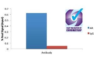 ELISA image for Androgen Receptor (AR) peptide (ABIN370140)