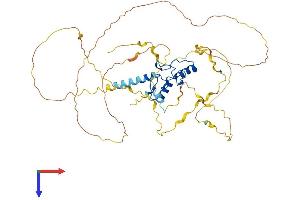 AlphaFold protein structure predicition of Human Recombinant ZNF207 Protein, UniprotID O43670