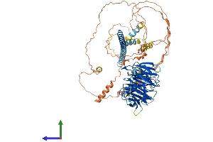 AlphaFold protein structure predicition of Mouse Recombinant Strn4 Protein, UniprotID P58404