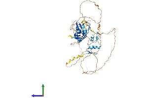 AlphaFold protein structure predicition of Human Recombinant ZBTB32 Protein, UniprotID Q9Y2Y4