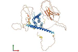 AlphaFold protein structure predicition of Mouse Recombinant Banp Protein, UniprotID Q8VBU8