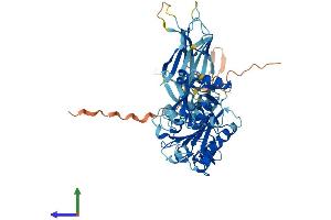 AlphaFold protein structure predicition of Human Recombinant CPNE7 Protein, UniprotID Q9UBL6