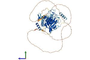 AlphaFold protein structure predicition of Mouse Recombinant Kat7 Protein, UniprotID Q5SVQ0