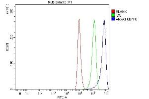 Flow Cytometry analysis of A549 cells using anti-Annexin A1/ANXA1 antibody (ABIN7600491). (Annexin a1 anticorps  (AA 2-346))