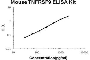 Mouse TNFRSF9/4-1BB PicoKine ELISA Kit standard curve