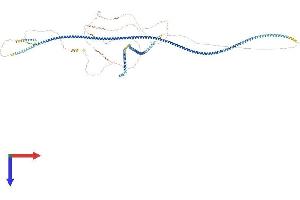 AlphaFold protein structure predicition of Mouse Recombinant Spag5 Protein, UniprotID Q7TME2