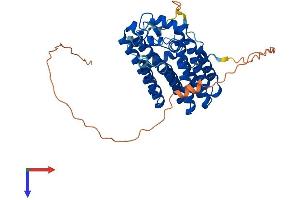 AlphaFold protein structure predicition of Mouse Recombinant Pdss1 Protein, UniprotID Q33DR2