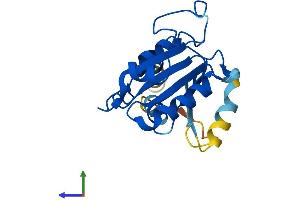 AlphaFold protein structure predicition of Human Recombinant SAR1B Protein, UniprotID Q9Y6B6