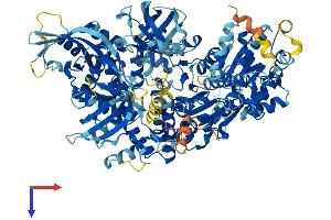 AlphaFold protein structure predicition of Mouse Recombinant Dna2 Protein, UniprotID Q6ZQJ5