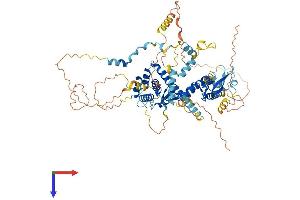 AlphaFold protein structure predicition of Human Recombinant SPIRE2 Protein, UniprotID Q8WWL2