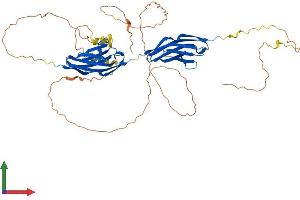 AlphaFold protein structure predicition of Human Recombinant MYOT Protein, UniprotID Q9UBF9