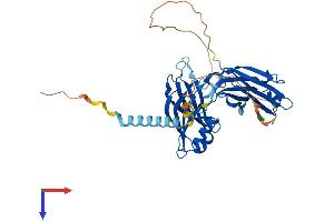 AlphaFold protein structure predicition of Human Recombinant SYT7 Protein, UniprotID O43581
