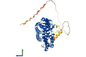 AlphaFold protein structure predicition of Mouse Recombinant Ppard Protein, UniprotID P35396