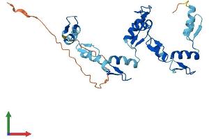 AlphaFold protein structure predicition of Human Recombinant ZNF80 Protein, UniprotID P51504