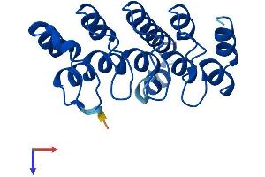 AlphaFold protein structure predicition of Human Recombinant ANKRD22 Protein, UniprotID Q5VYY1