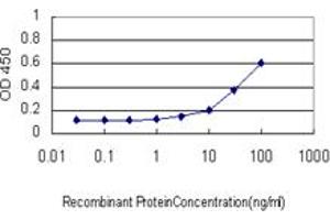Detection limit for recombinant GST tagged SMAD1 is approximately 3ng/ml as a capture antibody.
