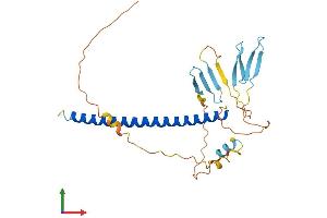 AlphaFold protein structure predicition of Human Recombinant ATF1 Protein, UniprotID P18846
