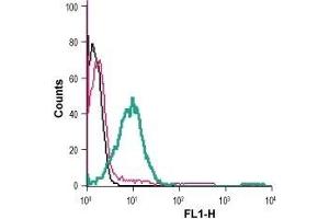 Cell surface detection of β2-Adrenoceptor in live intact human Jurkat T-cell leukemia cells: (black line) Cells.