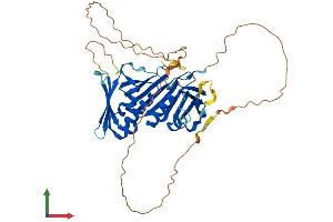 AlphaFold protein structure predicition of Human Recombinant RAD9B Protein, UniprotID Q6WBX8
