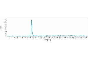 The purity of Anti-MMP9 Reference Antibody (andecaliximab) is more than 95 % , determined by SEC-HPLC. (Recombinant MMP9 (Andecaliximab Biosimilar) anticorps)