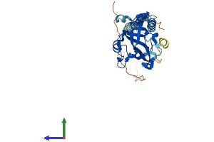 AlphaFold protein structure predicition of Human Recombinant SURF1 Protein, UniprotID Q15526