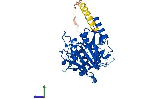 AlphaFold protein structure predicition of Mouse Recombinant B3galt1 Protein, UniprotID O54904