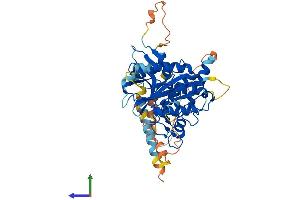 AlphaFold protein structure predicition of Mouse Recombinant Atg4c Protein, UniprotID Q811C2