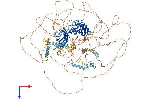 AlphaFold protein structure predicition of Mouse Recombinant Per2 Protein, UniprotID O54943