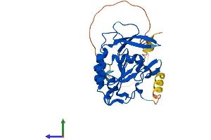 AlphaFold protein structure predicition of Mouse Recombinant Ctdsp2 Protein, UniprotID Q8BX07