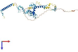 AlphaFold protein structure predicition of Mouse Recombinant Snrnp48 Protein, UniprotID Q9D361