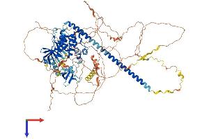 AlphaFold protein structure predicition of Human Recombinant MAP3K10 Protein, UniprotID Q02779