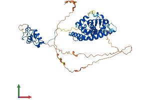 AlphaFold protein structure predicition of Human Recombinant HNF4A Protein, UniprotID P41235