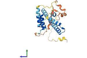 AlphaFold protein structure predicition of Human Recombinant MREG Protein, UniprotID Q8N565