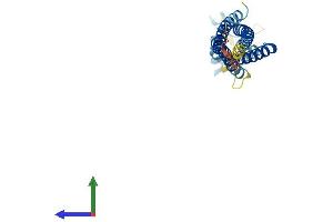 AlphaFold protein structure predicition of Mouse Recombinant Tspan32 Protein, UniprotID Q9JHH2