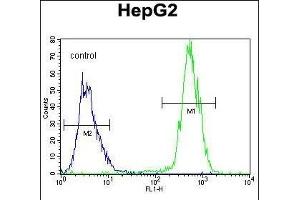 PRRT1 Antibody (Center) (ABIN655188 and ABIN2844804) flow cytometric analysis of HepG2 cells (right histogram) compared to a negative control cell (left histogram). (PRRT1 anticorps  (AA 240-269))