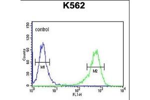ATP2A1 Antibody (C-term) (ABIN1881089 and ABIN2840069) flow cytometric analysis of K562 cells (right histogram) compared to a negative control cell (left histogram). (ATP2A1/SERCA1 anticorps  (C-Term))
