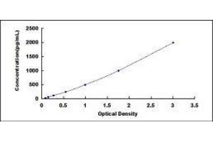 ELISA image for gamma-Interferon-Induced Monokine (CXCL9) ELISA Kit (ABIN417400)