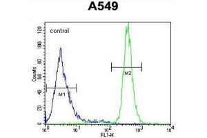 WFDC12 Antibody (C-term) (AP54561PU-N ) flow cytometric analysis of A549 cells (right histogram) compared to a negative control cell (left histogram).