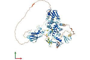 AlphaFold protein structure predicition of Human Recombinant SMURF1 Protein, UniprotID Q9HCE7