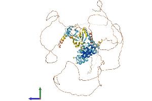 AlphaFold protein structure predicition of Human Recombinant MPHOSPH8 Protein, UniprotID Q99549