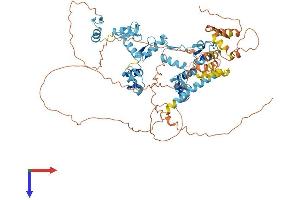 AlphaFold protein structure predicition of Human Recombinant GZF1 Protein, UniprotID Q9H116
