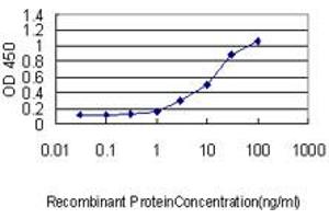 Detection limit for recombinant GST tagged GKN1 is approximately 0.