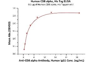 Immobilized Human CD8 alpha, His Tag (ABIN6973024) at 1 μg/mL (100 μL/well) can bind Anti-CD8 alpha Antibody, Mouse IgG2a (clone: OKT8) with a linear range of 0.