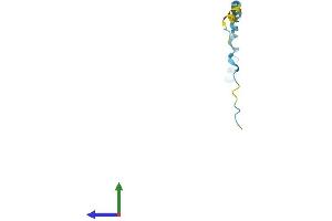 AlphaFold protein structure predicition of Human Recombinant SPRR2F Protein, UniprotID Q96RM1