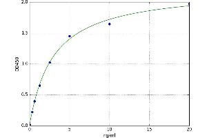 A typical standard curve (IGF1R Kit ELISA)